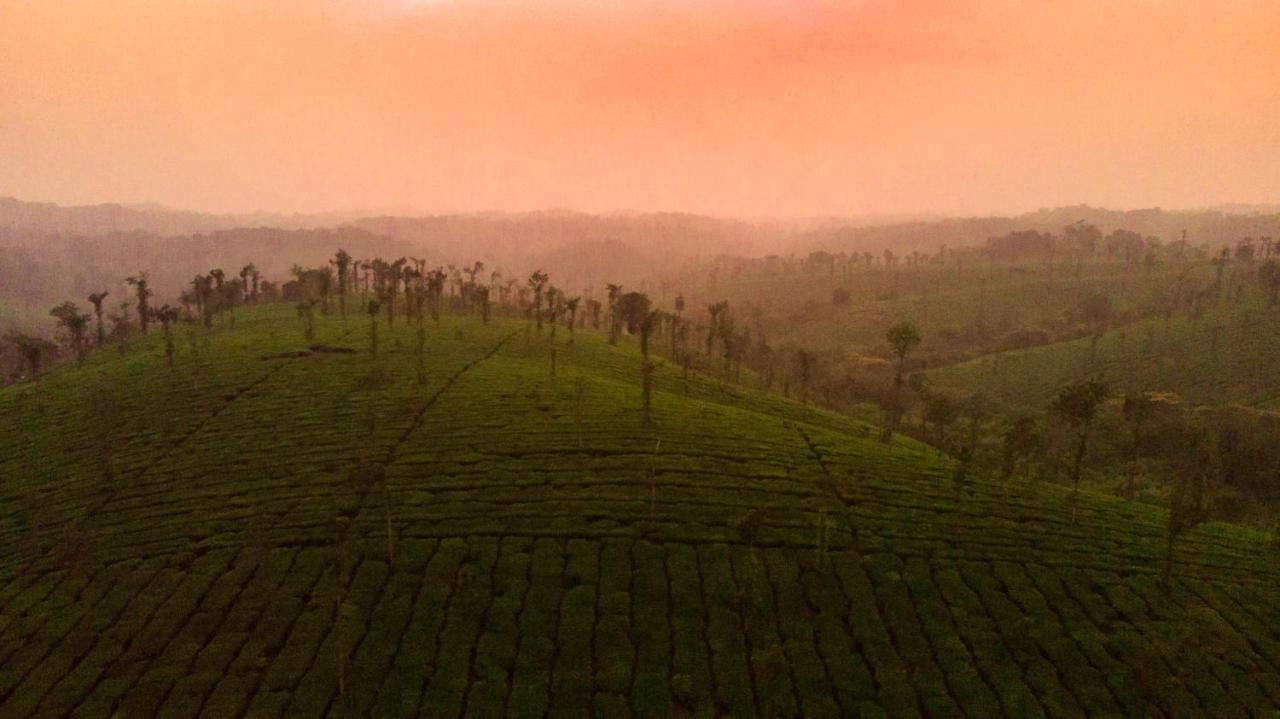 Ama Plantation Trails Coorg Villa Gonikoppal Kültér fotó